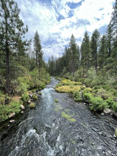 Best Hikes And Trails In Mcarthur-burney Falls Memorial State Park 