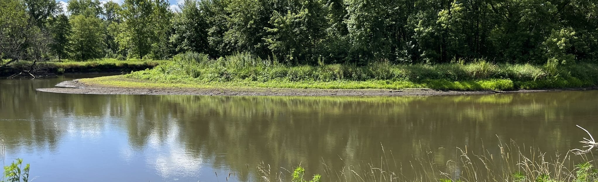 Sugar River Forest Preserve Loop Trail - Illinois | AllTrails