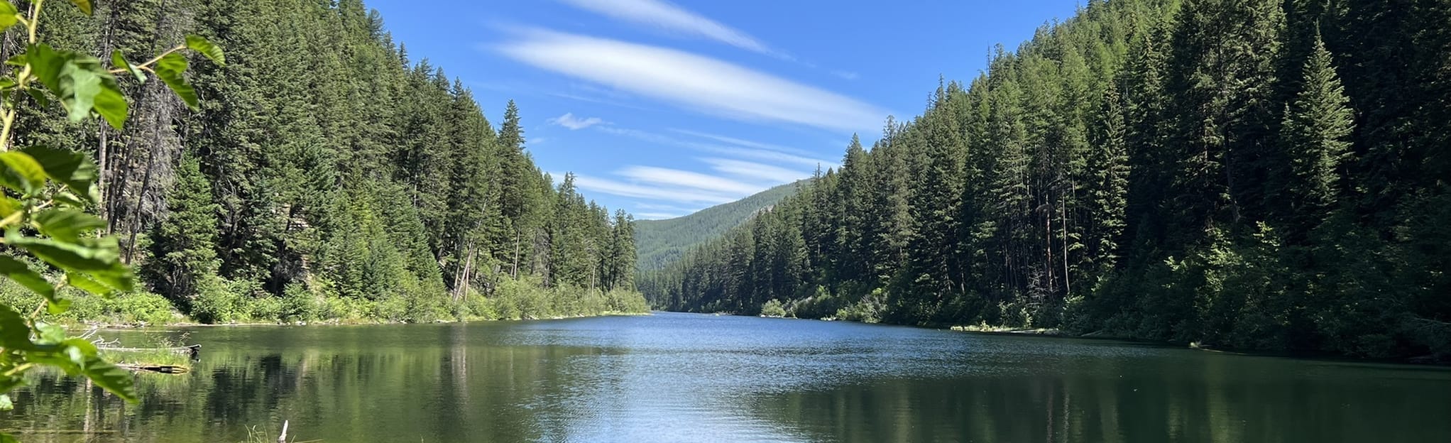 Lisbon Lake Trail 11 Reviews, Map British Columbia, Canada AllTrails