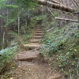 Flower Ridge, British Columbia, Canada - 169 Reviews, Map | AllTrails