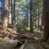 Flower Ridge, British Columbia, Canada - 169 Reviews, Map | AllTrails