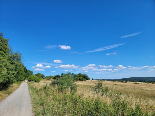 Bird Watching Runde: Von Vogelsang über die Urftseebrücke
