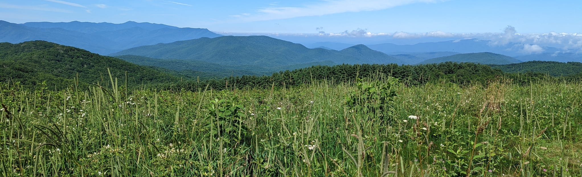 Max Patch Loop | Mapa, Roteiro - North Carolina | AllTrails