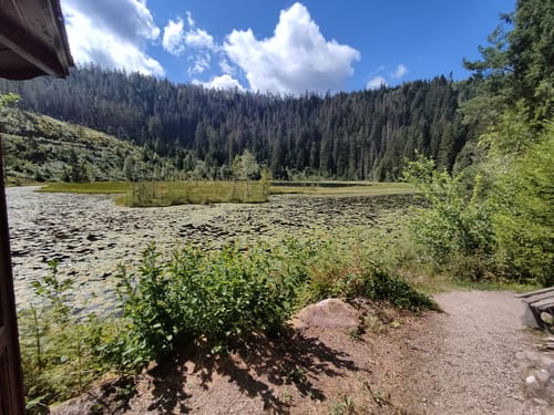 Rund um den Kleinhahnberg