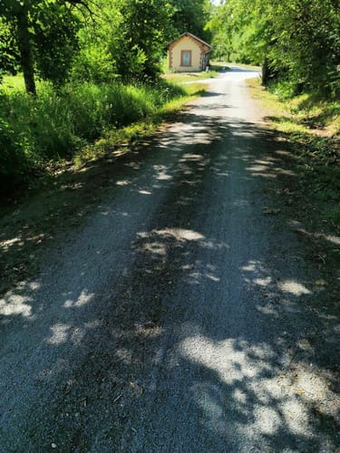 Rundwanderweg Mosbach 5: Hasbach-Weg