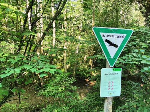 Rundwanderweg Mosbach 5: Hasbach-Weg