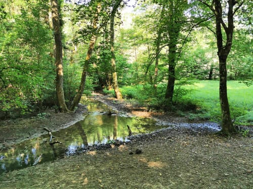 Rundwanderweg Mosbach 5: Hasbach-Weg