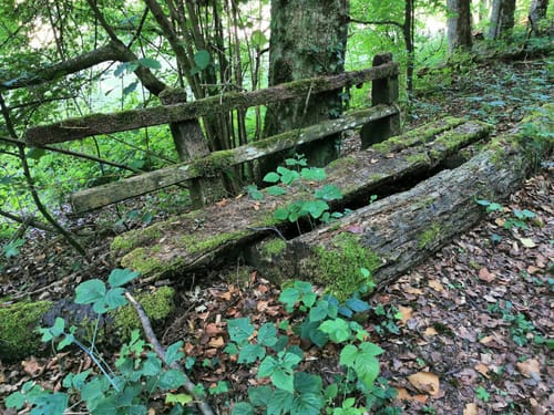 Rundwanderweg Mosbach 5: Hasbach-Weg