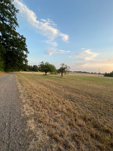 Rundwanderweg Messel 1: Urpferdchen-Weg