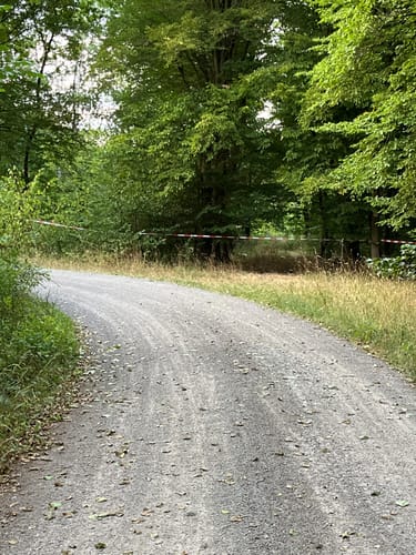 Rundwanderweg Messel 1: Urpferdchen-Weg