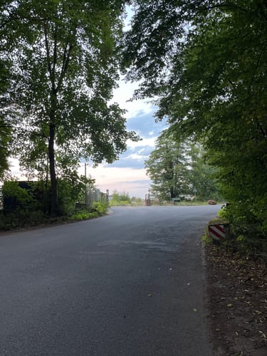 Rundwanderweg Messel 1: Urpferdchen-Weg