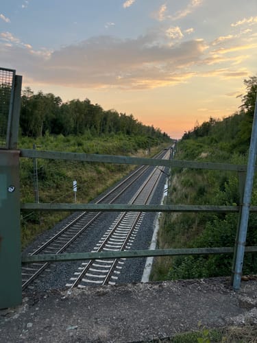 Rundwanderweg Messel 1: Urpferdchen-Weg