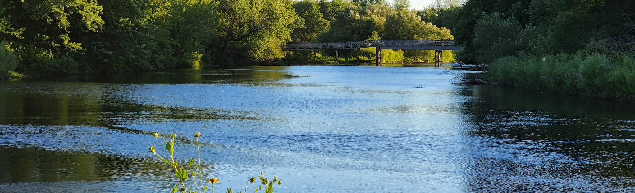 Escape To The Enchanted Forest: A Guide To Minnesota’s Kaplan Woods State Park