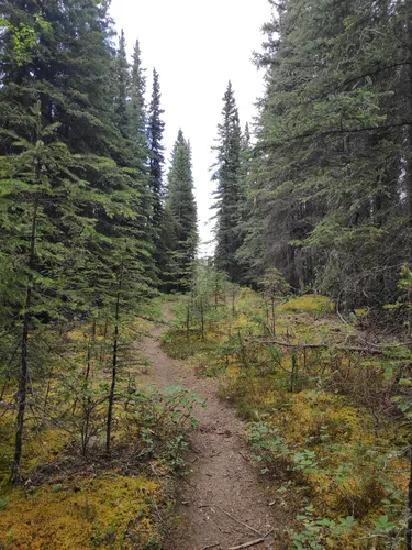 Best Views Trails in Tanacross AllTrails