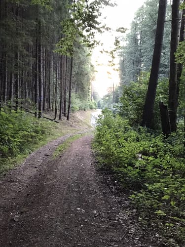Kine vom Brünnlberg Strecke 3: Trailexpert (2022)