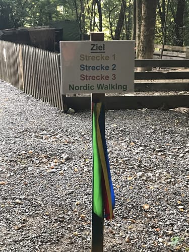 Kine vom Brünnlberg Strecke 3: Trailexpert (2022)
