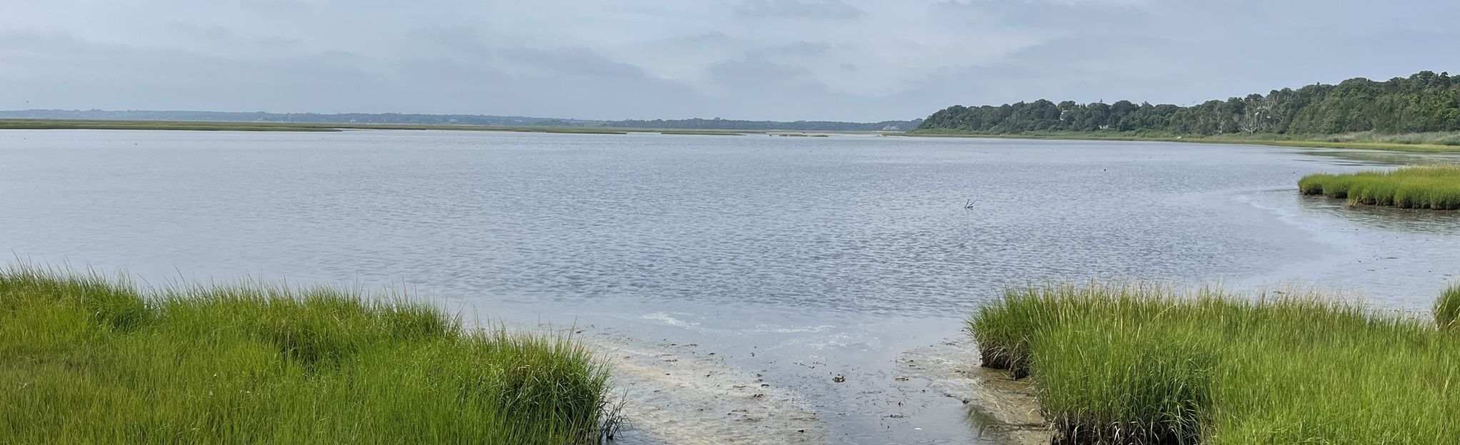 nauset bike trail