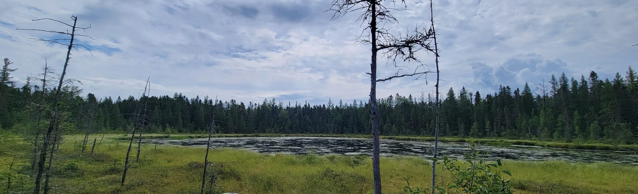 Mud Pond Trail 65 Reviews, Map New Hampshire AllTrails