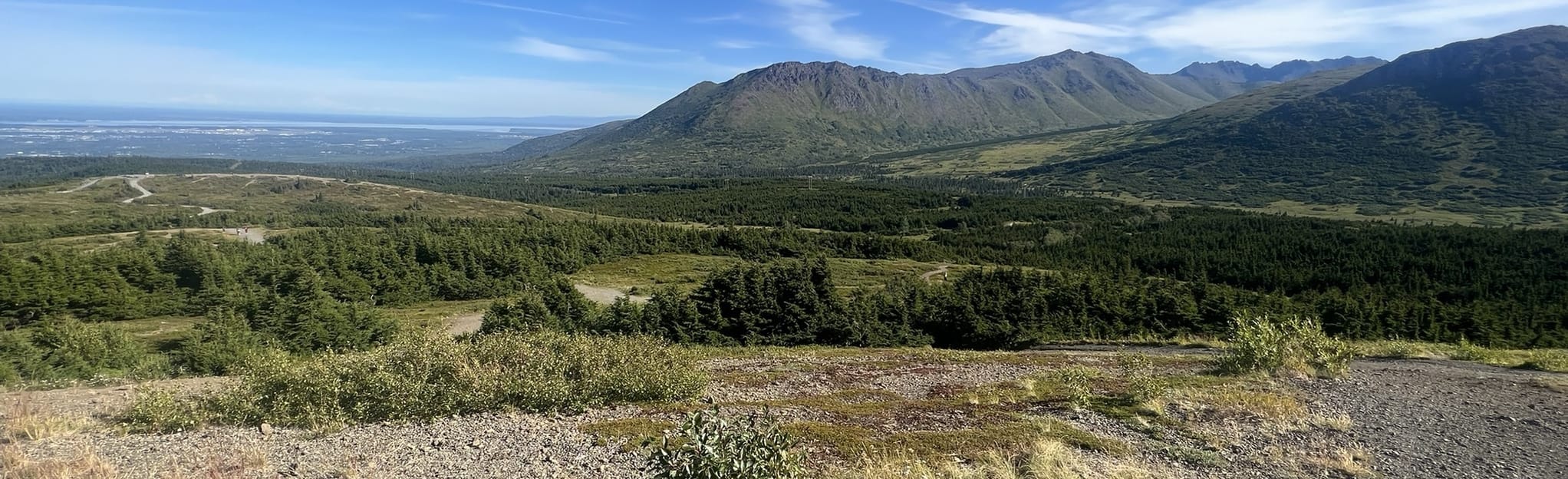 Blueberry Loop, Alaska - 595 Reviews, Map | AllTrails
