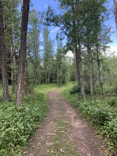 Best Hikes and Trails in Snake Hill Recreation Area AllTrails