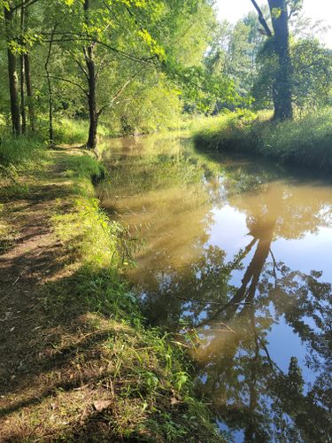 Sloan Preserve Trails: 38 Reviews, Map - Michigan