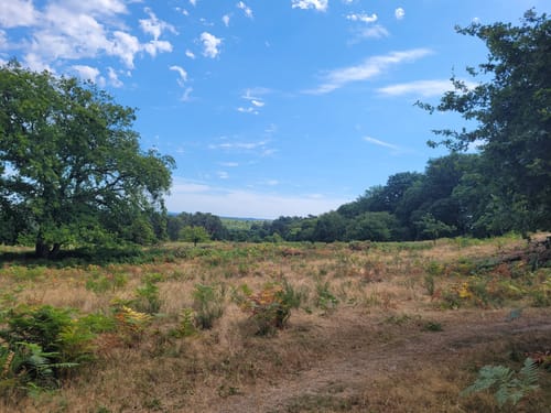 Rund um die Wahner Heide bei Troisdorf