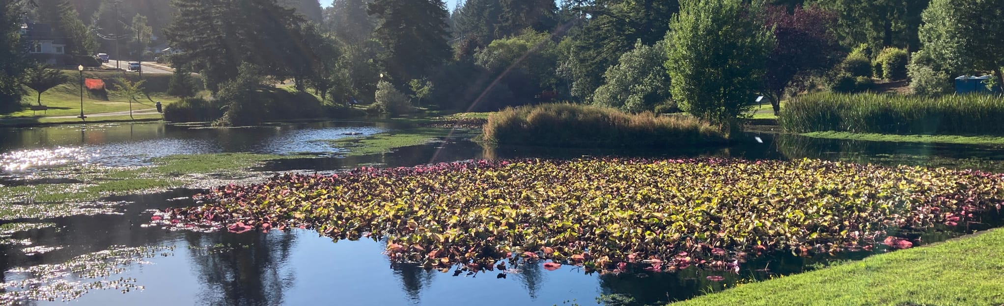 Mingus Park Footpath, Oregon 95 Reviews, Map AllTrails