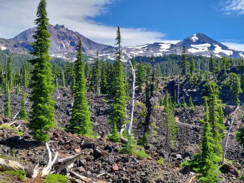 10 Best Hikes and Trails in Three Sisters Wilderness | AllTrails