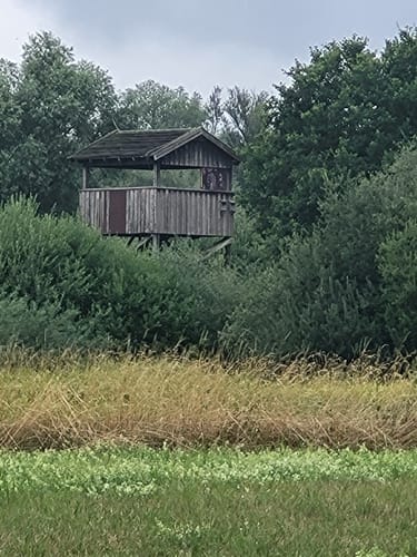 Naturschutzgebiet Alte Leine  ab Grasdorf