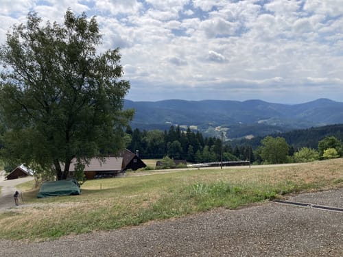 Vom Alisehof auf den Kupferberg