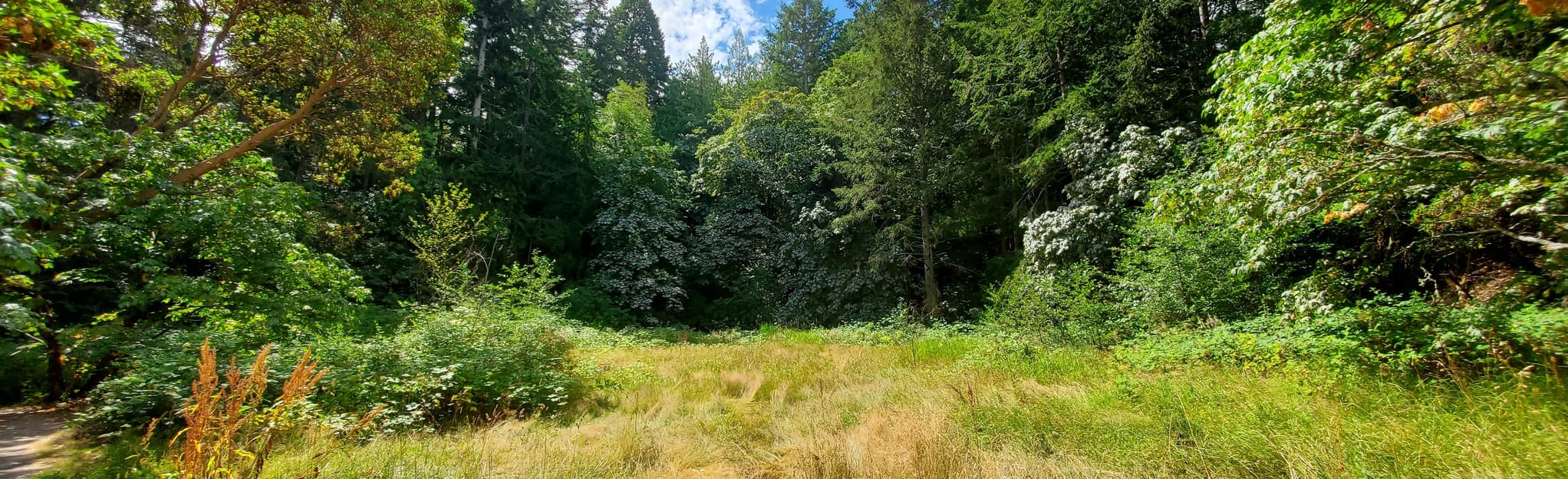 Maddock, Glendenning, Harrop and Whittaker Loop Map, Guide British