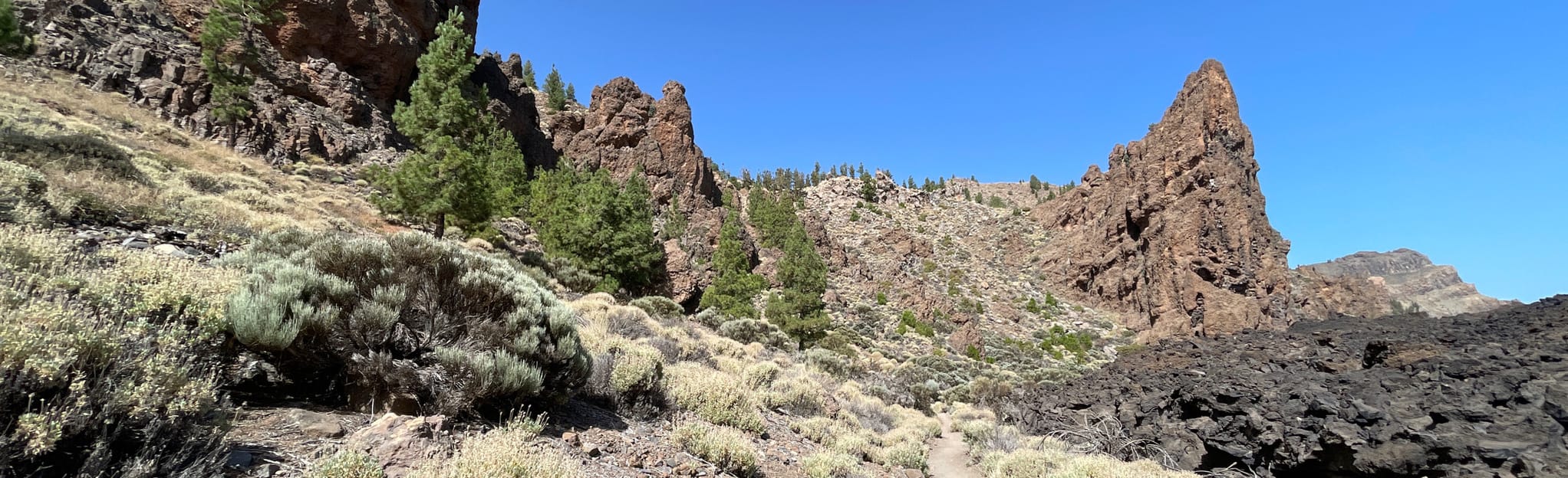 Mirador Juan Évora Mirador de la Narices del Teide 35 Reviews, Map Tenerife, Spain AllTrails