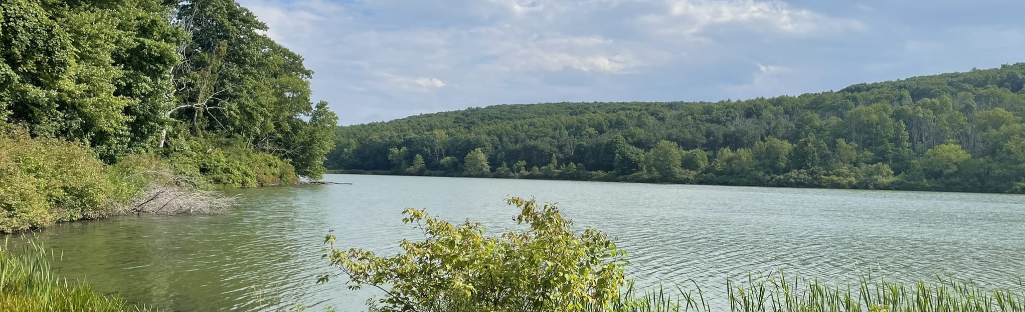 Lake and Shore Campground A Haven for Outdoor Enthusiasts Paraiso Island