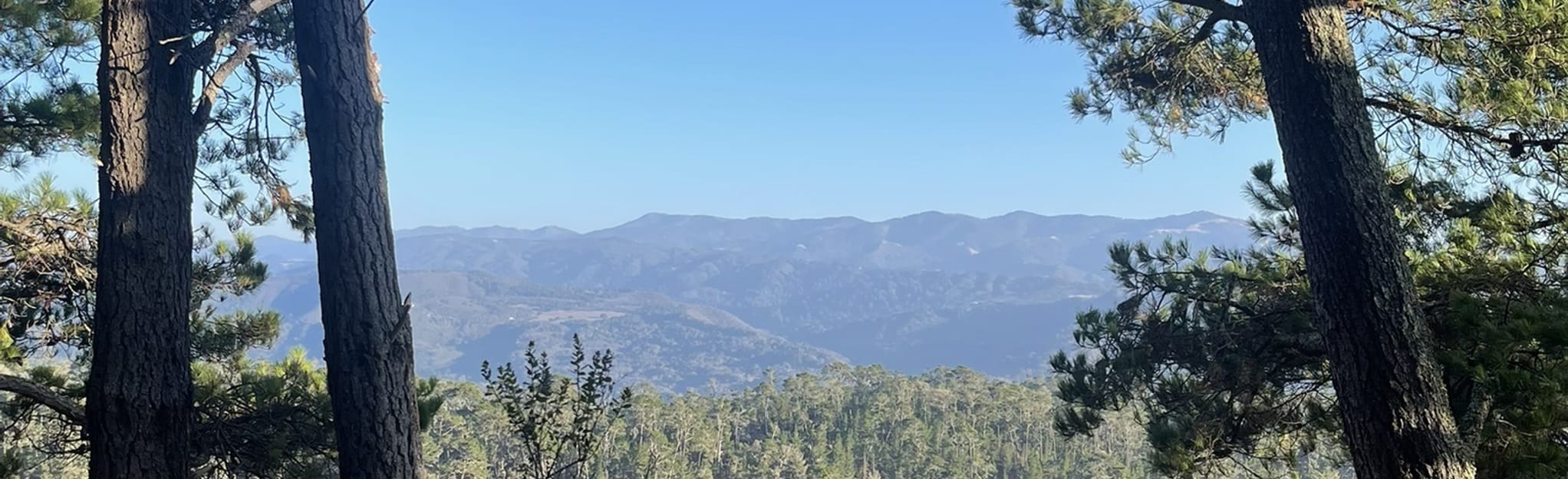 Jack's Peak, Coffeeberry, Lower Ridge and Pine Trail Loop [CLOSED] 267