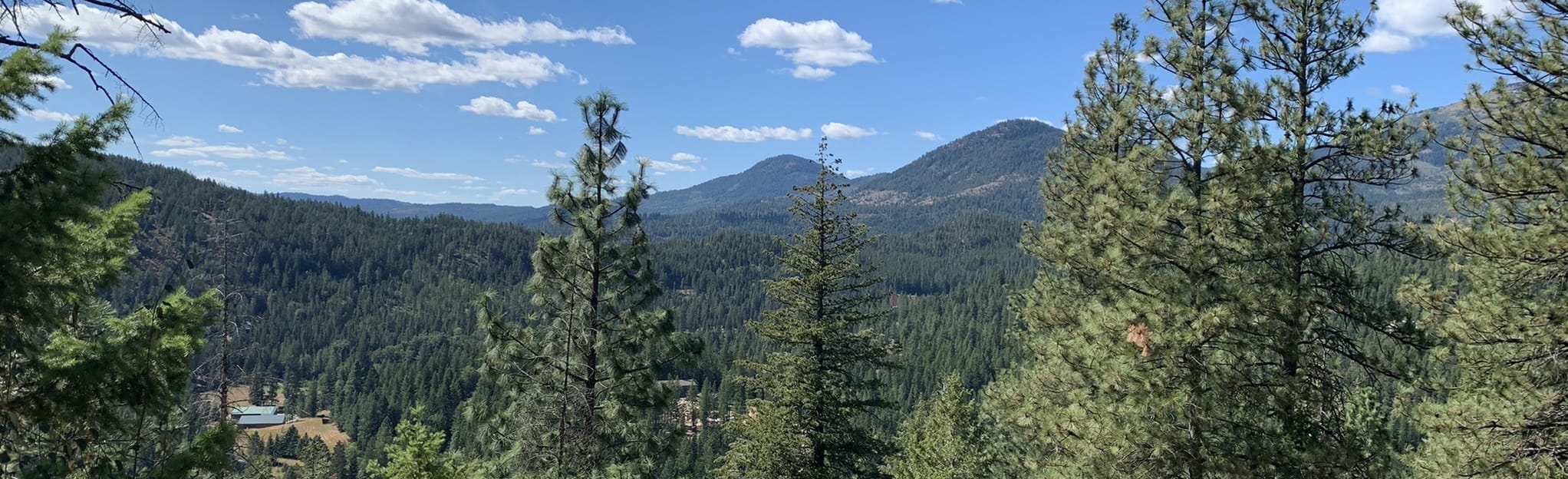 Crooked Tree Loop: 15 Reviews, Map - Idaho | AllTrails