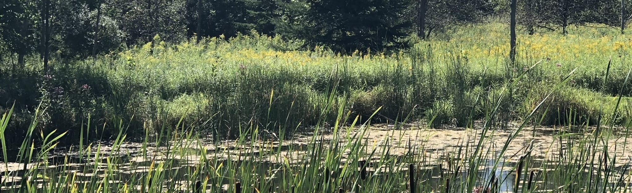 Maywood Park and Evergreen Park Trails 71 Reviews, Map Wisconsin