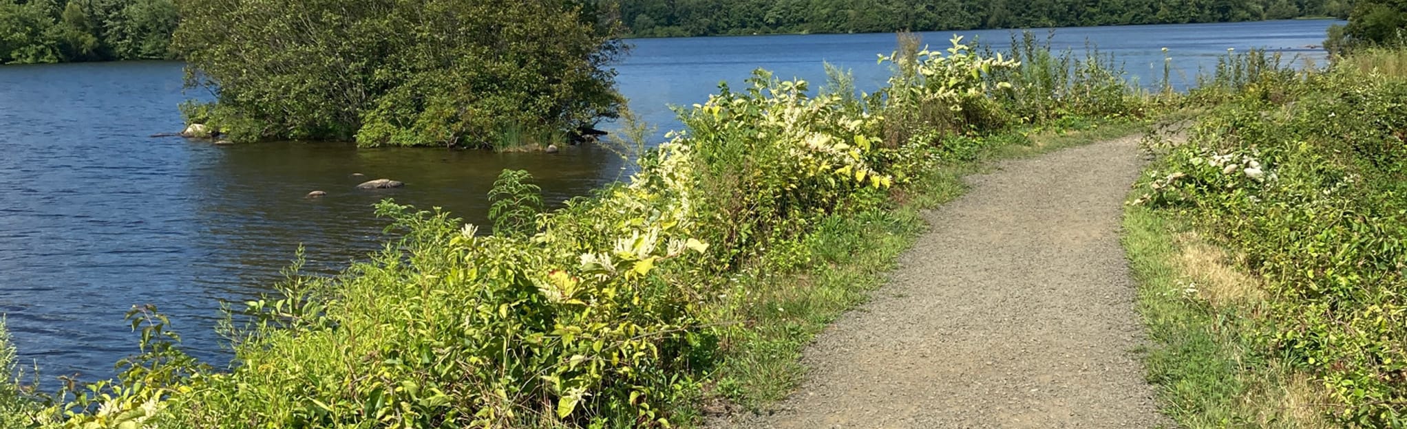 Scoville Reservoir Loop, Connecticut 1,285 Reviews, Map AllTrails
