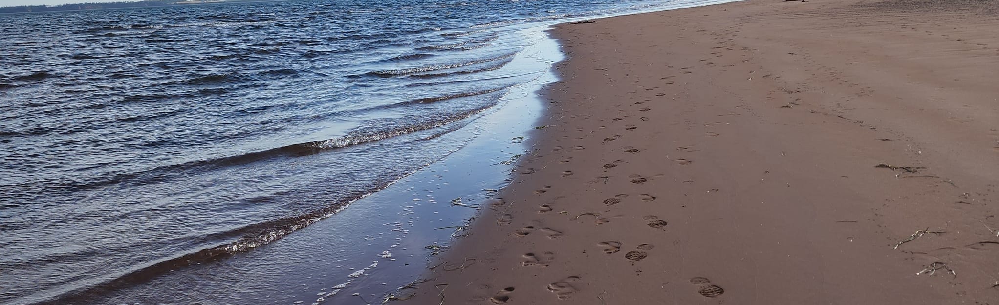 Rollo Bay Paddle, Prince Edward Island, Canada Map, Guide AllTrails