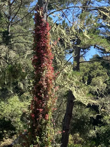 Best Hikes and Trails in Hatton Canyon AllTrails