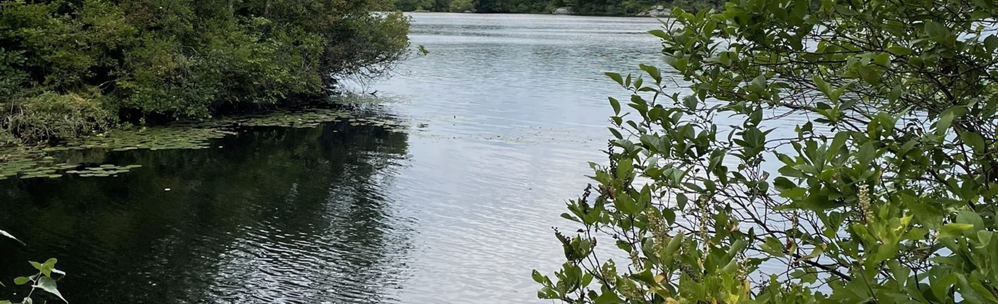 Ramapo Lake Cannonball Loop Trail | Mapa, Roteiro - New Jersey | AllTrails