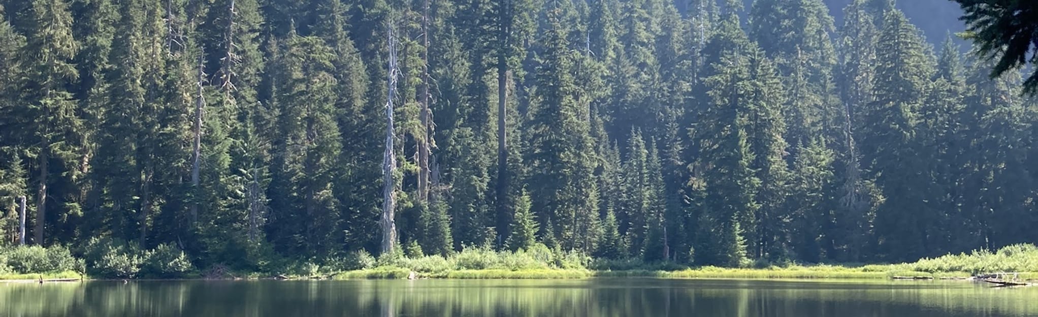 AllTrails Crabtree Lake Trail 47 Reviews, Map Oregon