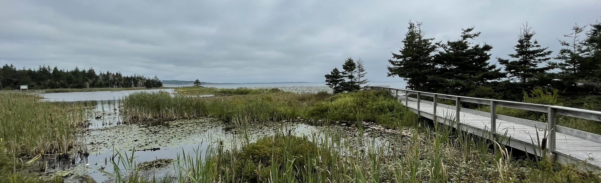 Flag Pond Access Trail 6 Reviews, Map Nova Scotia, Canada AllTrails