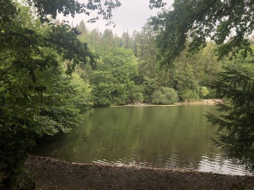 Um den Itzenplitzerweiher