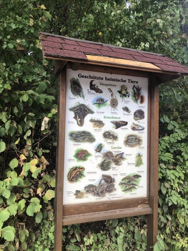 Um den Itzenplitzerweiher