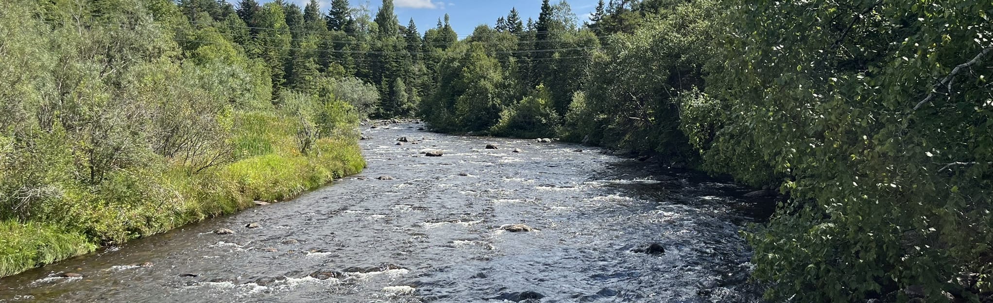 Corner Brook Stream Trail Newfoundland and Labrador, Canada AllTrails
