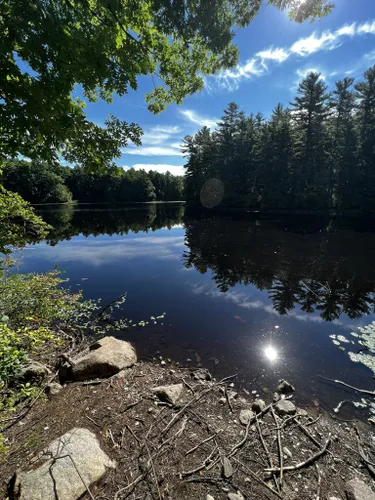 10 Best Forest Trails in Foxborough | AllTrails