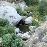 San Ysidro Trail, California - 390 Reviews, Map | AllTrails