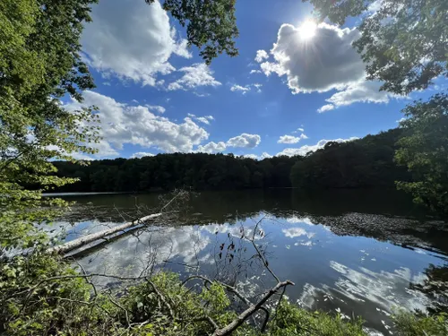 Best Hikes And Trails In Barkcamp State Park 