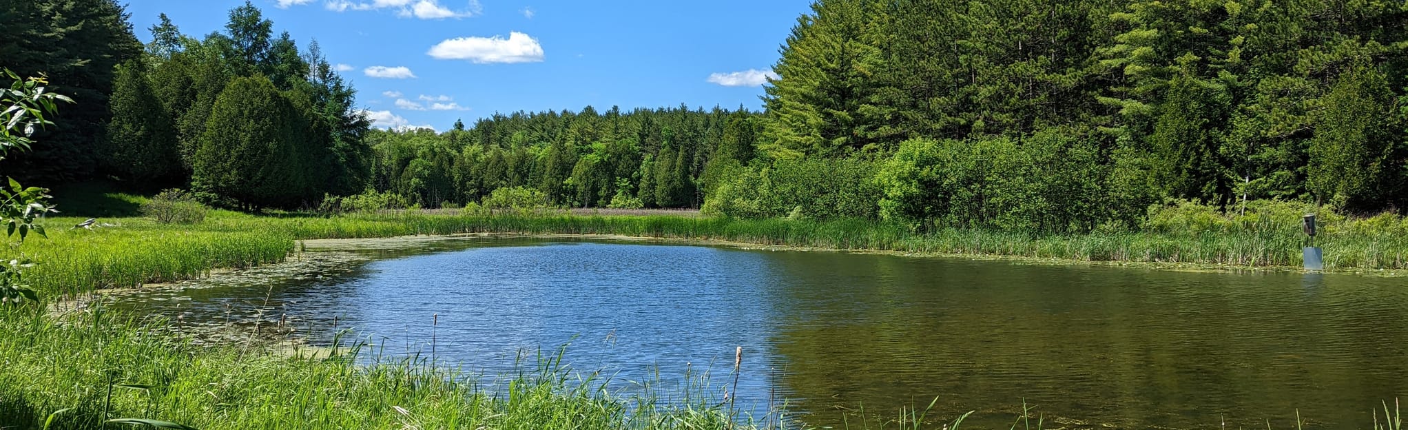 Palgrave Trail 395 Reviews, 508 Photos, Map Ontario, Canada AllTrails