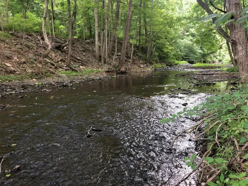Tuscarora Trail: Rt 50 to ATV Trail, Virginia - 34 Reviews